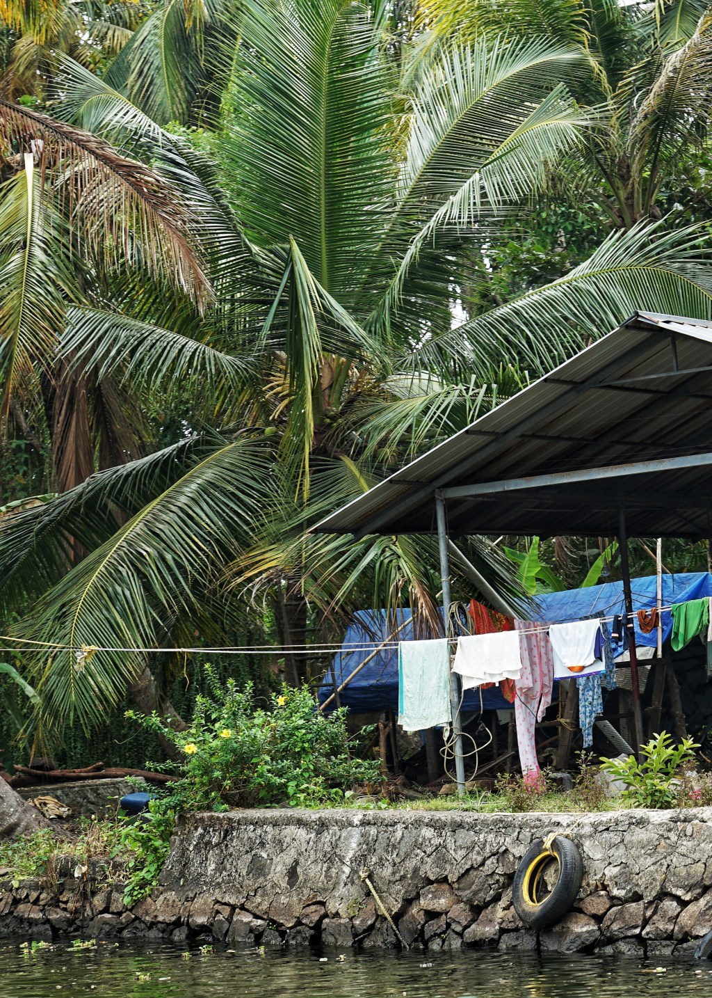 From Alleppy to Kochi: Local Life and Tourism in One&nbsp;Frame.